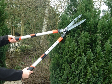 Telescopic Hedge Shear