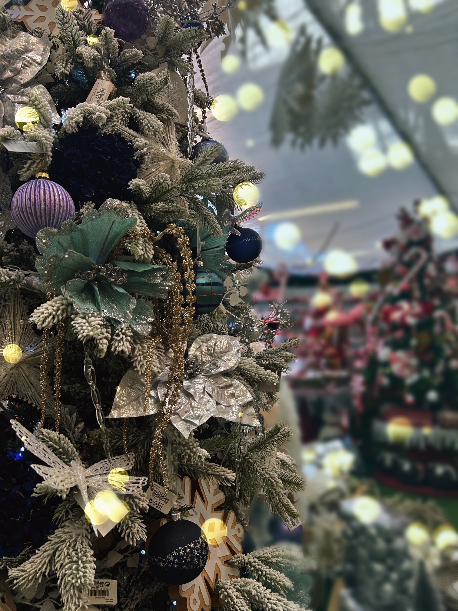 Christmas decs